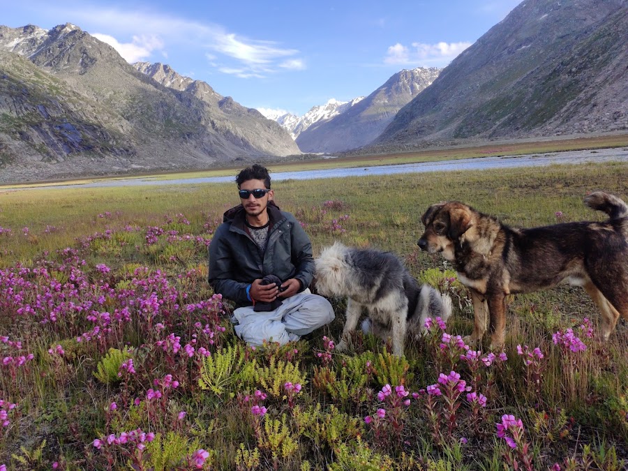 Pin Parvati Pass Trek (Starting Point) - Photo 2