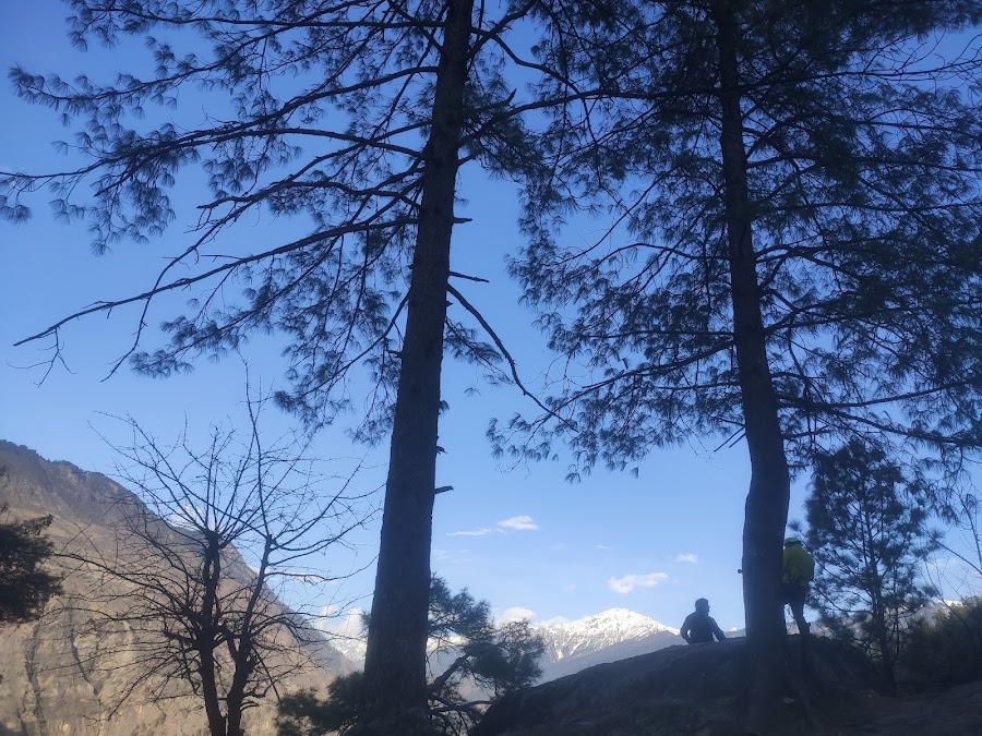 Gaumukh - Photo 5