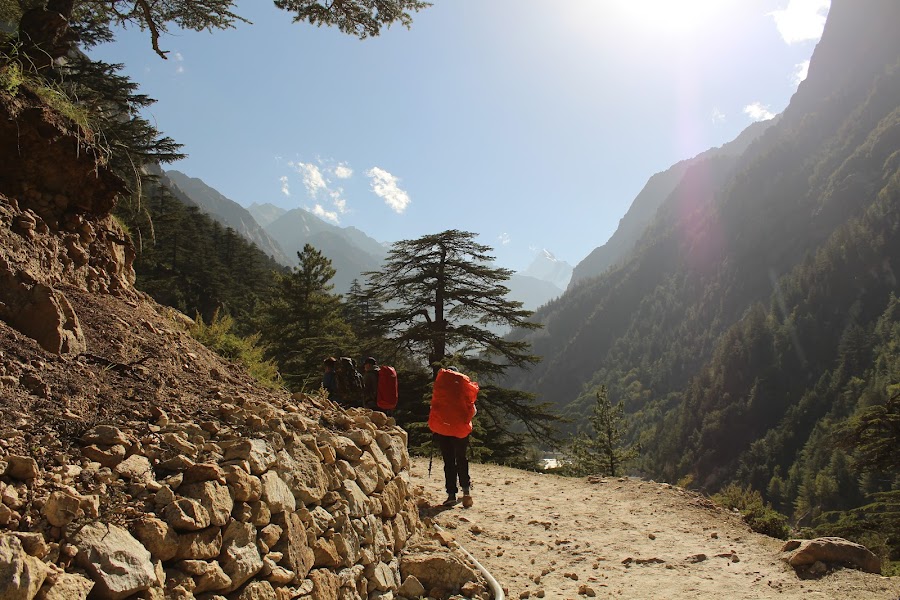 Gaumukh - Photo 4