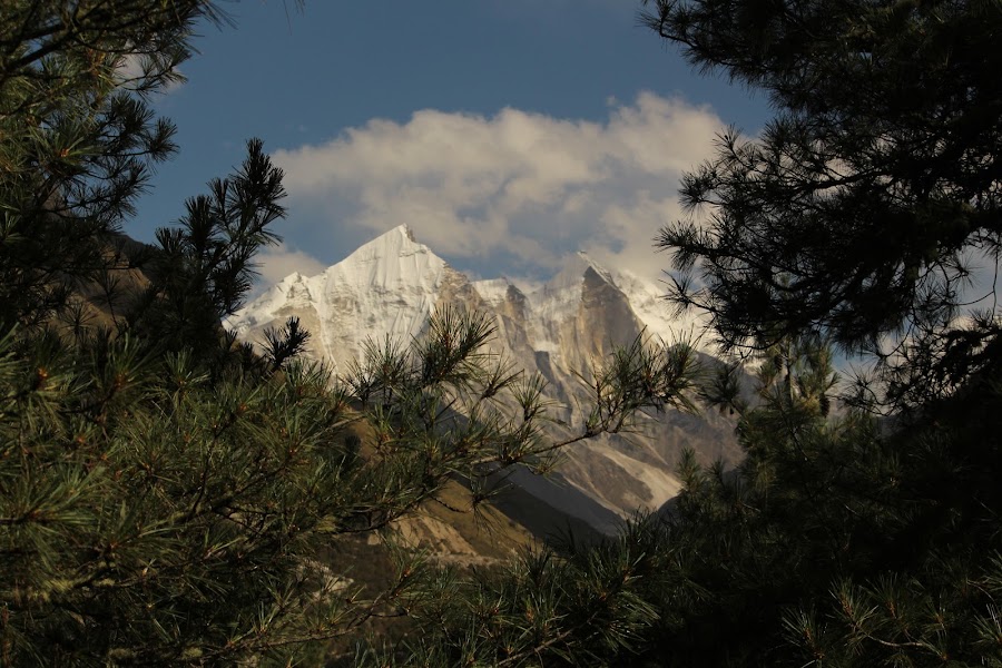 Gaumukh - Photo 2