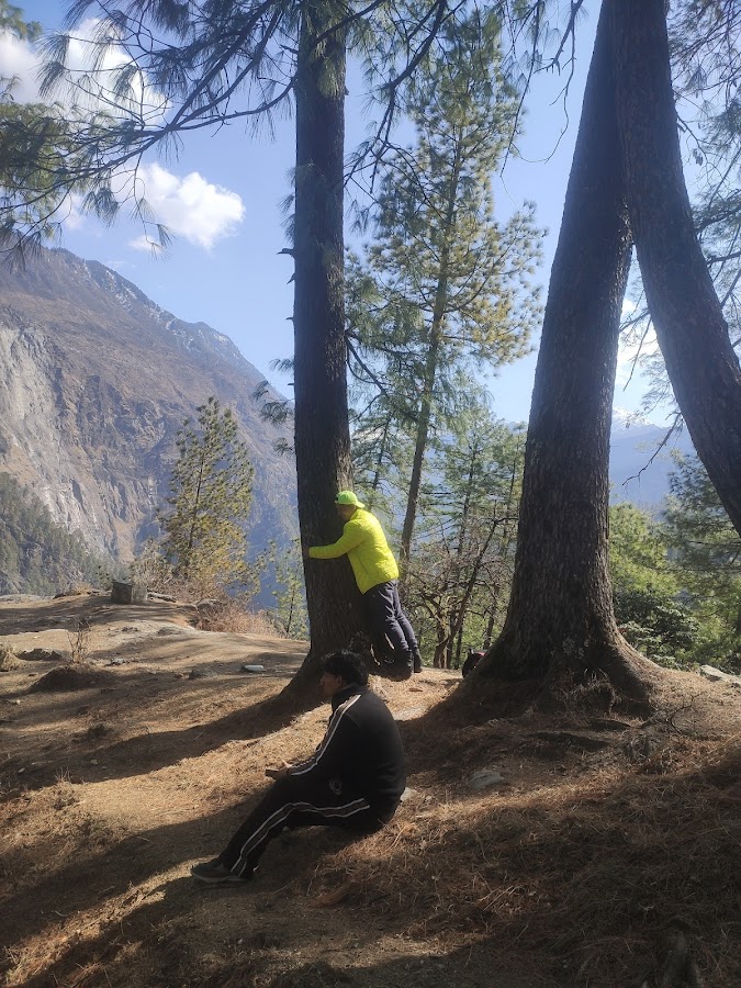 Gaumukh - Photo 7