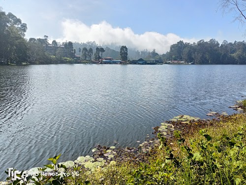 Kodaikanal - Photo 4
