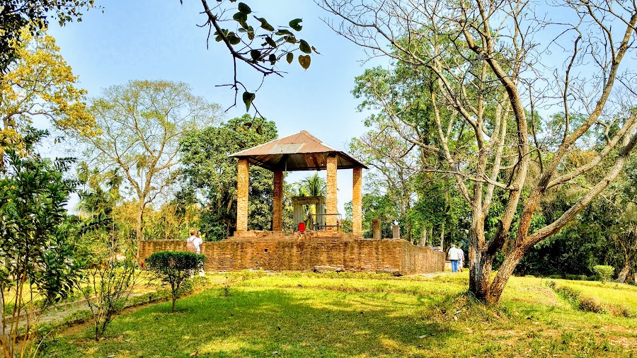 Da-Parbatia - Photo 4