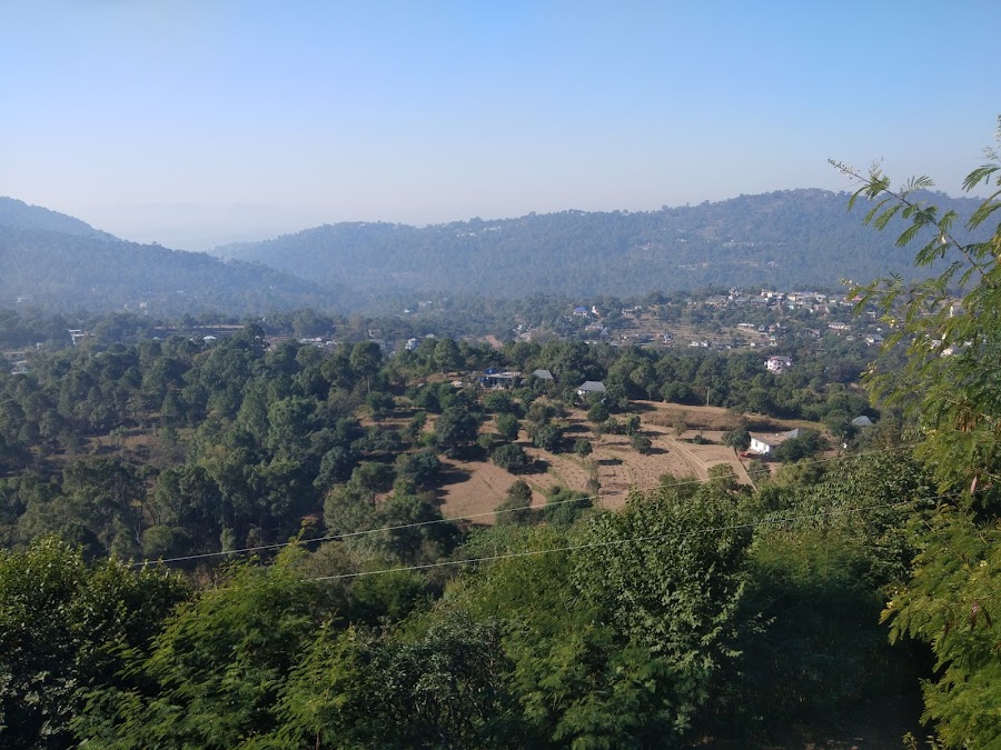 Shri Hari Mandir - Photo 3