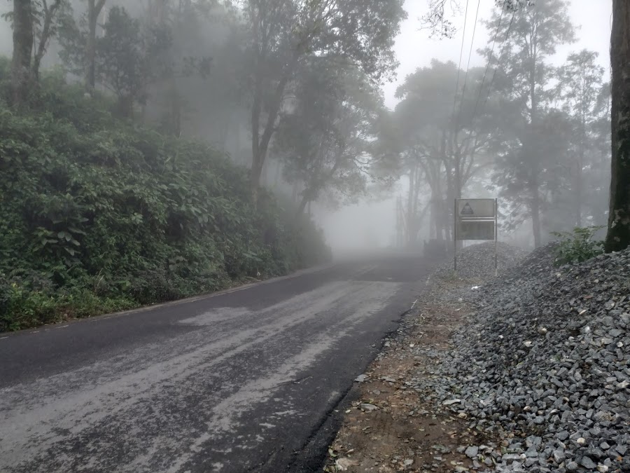 Murikkady - Photo 2