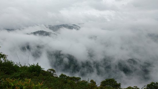 Neelimala View Point - Photo 2