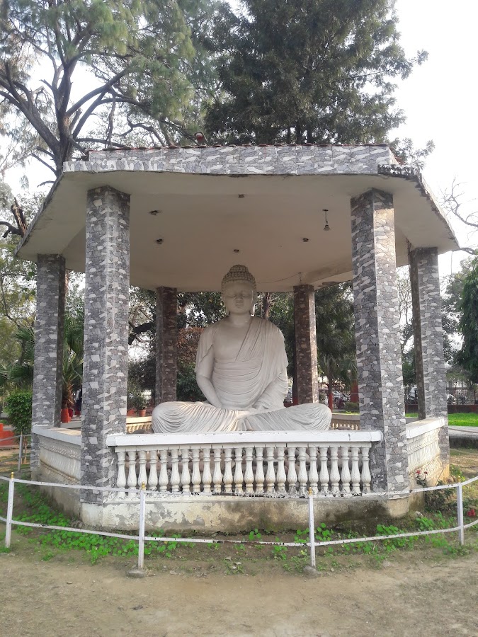 Company Bagh - Photo 2