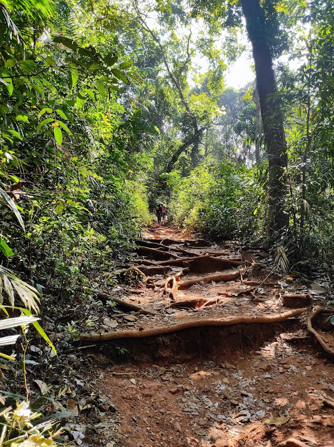 Vibhooti Falls - Photo 2
