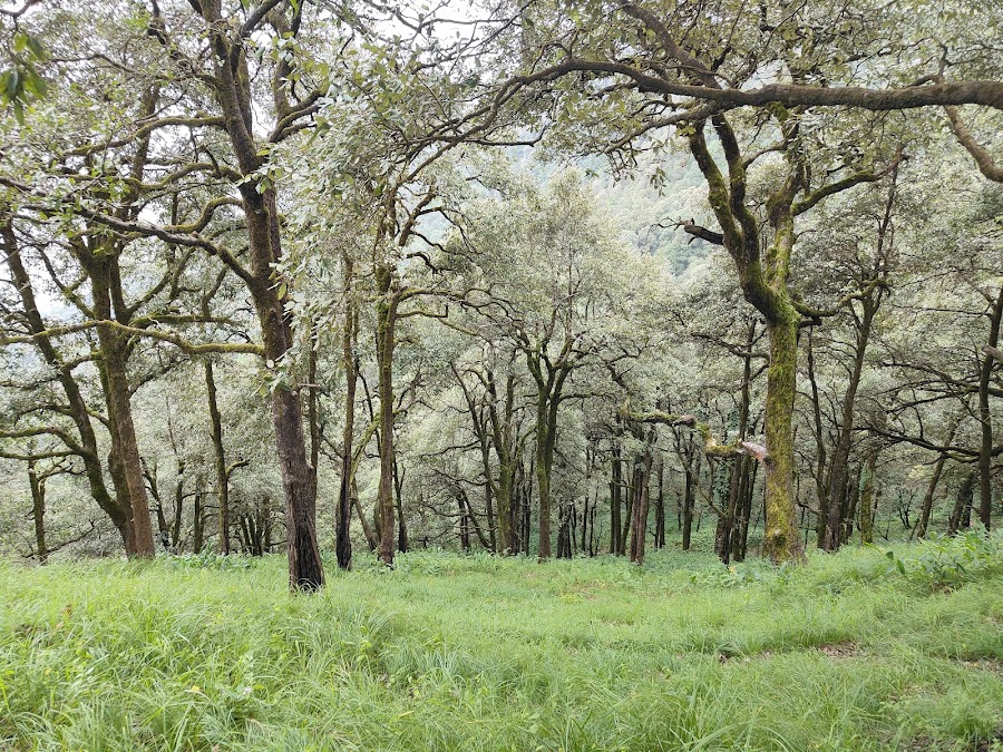 Kilbury and Pangot Wildlife and Bird Sanctuary - Photo 2
