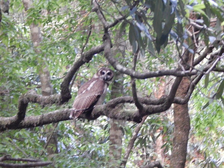 Kilbury and Pangot Wildlife and Bird Sanctuary - Photo 4