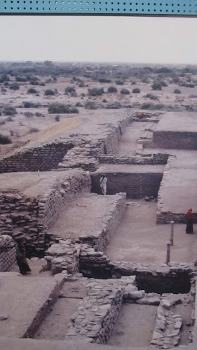 Kutch - Photo 3