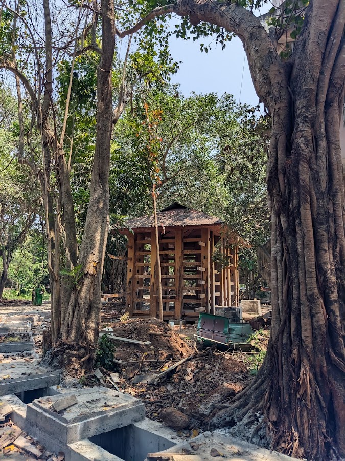 Punnathurkotta Elephant Sanctuary - Photo 4