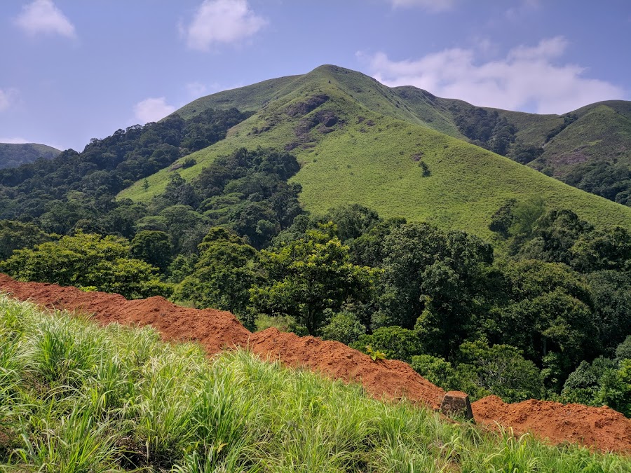 Periyar Tiger Trail - Photo 2