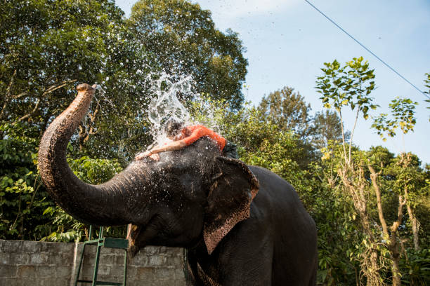 Periyar Tiger Trail - Photo 3