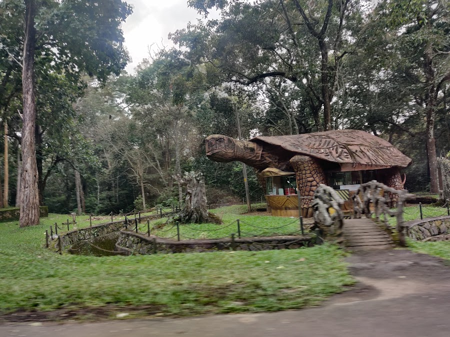 Periyar National Park - Photo 4