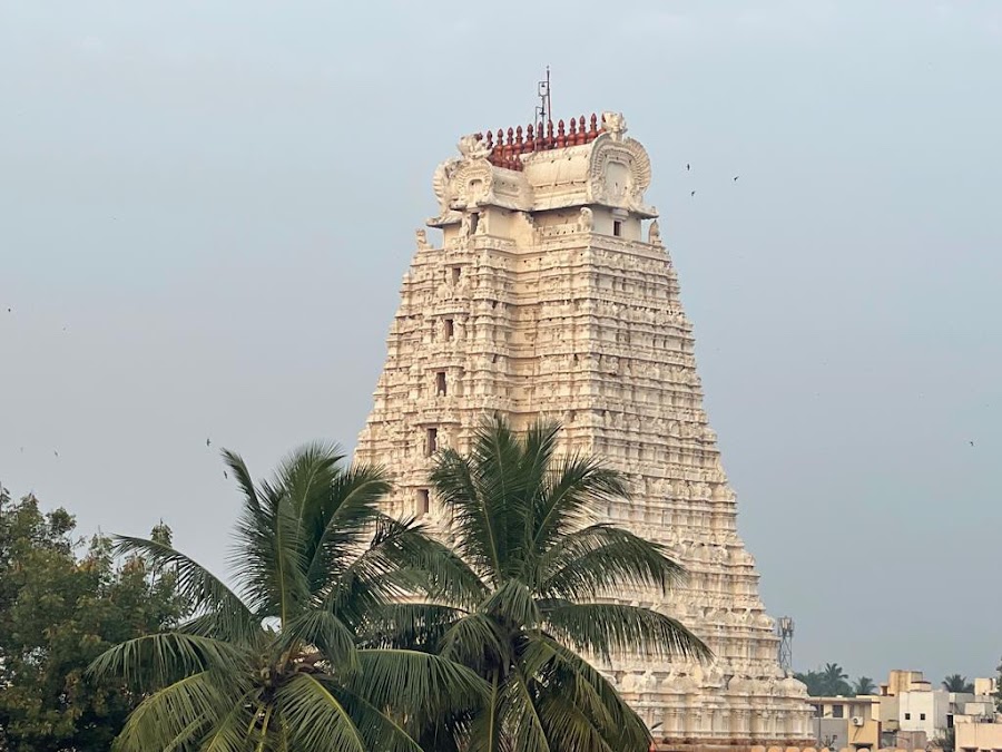 Sri Ranganatha Swamy Temple, Srirangam - Photo 2