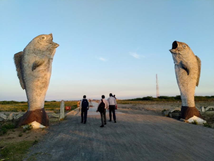 Manginapudi Beach - Photo 4