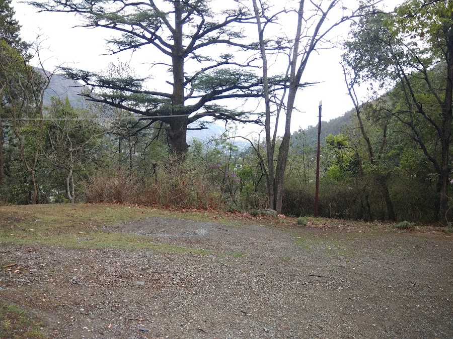 Butterfly Research Centre, Bhimtal - Photo 2