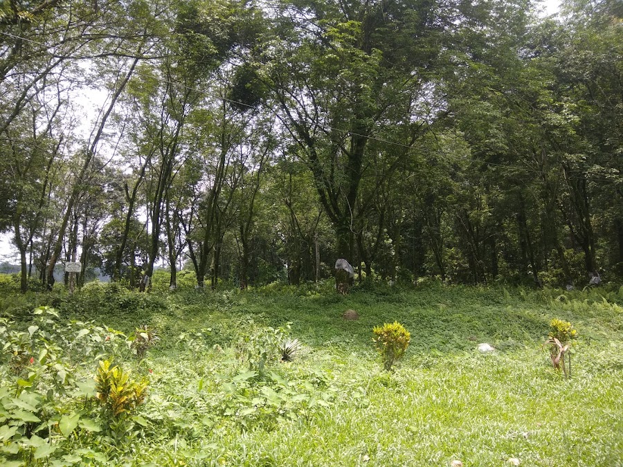 Chapramari Wildlife Sanctuary - Photo 9