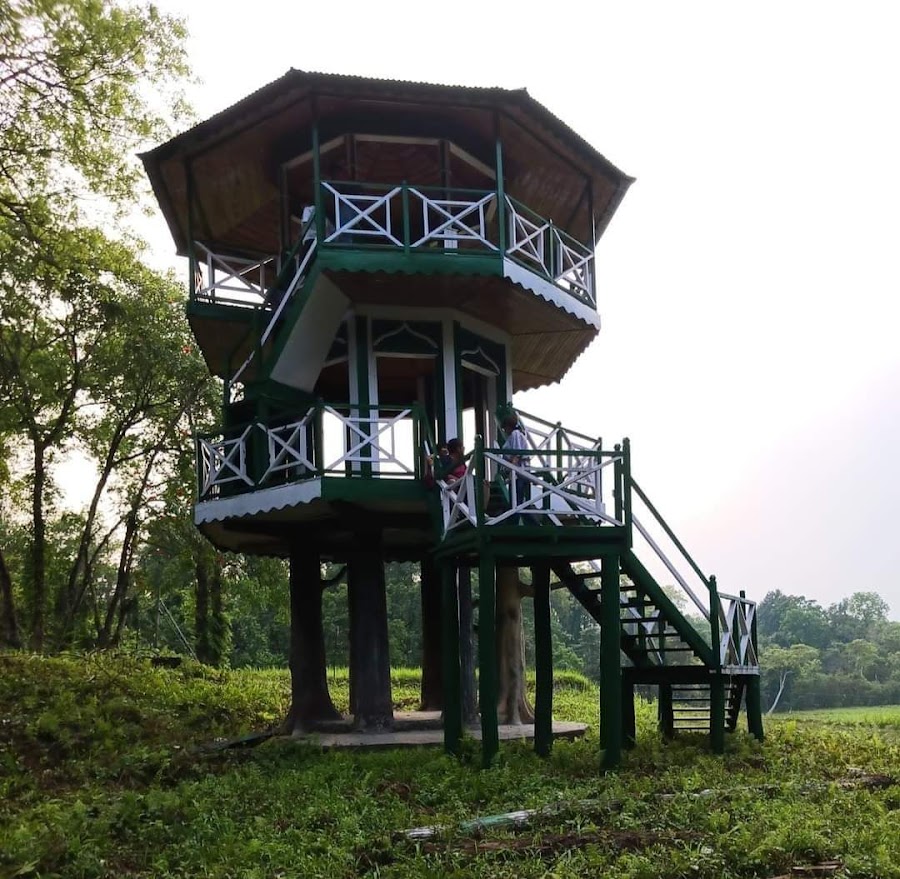 Chapramari Wildlife Sanctuary - Photo 4