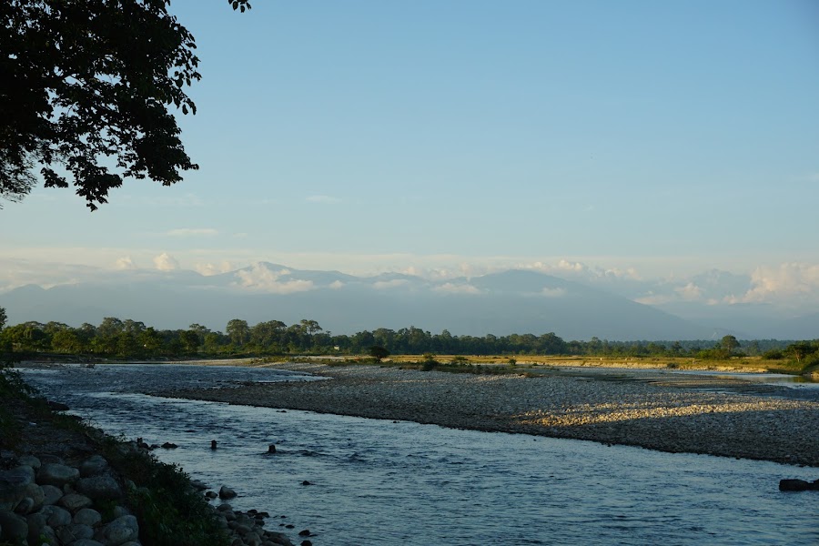 Chapramari Wildlife Sanctuary - Photo 7