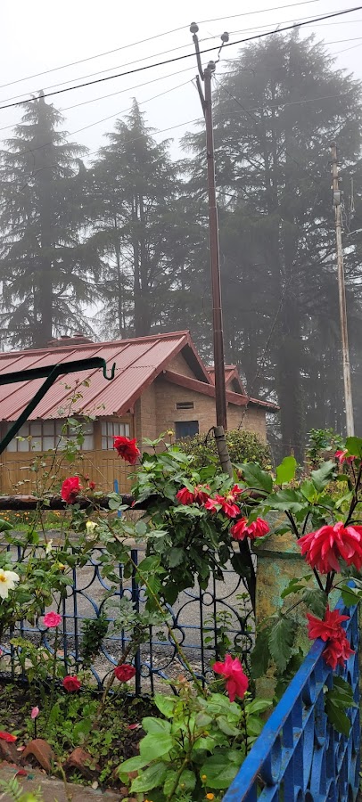 Mukteshwar - Photo 4