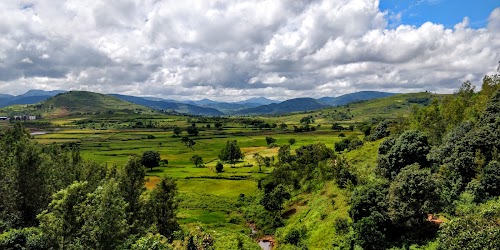 Araku Valley - Photo 4