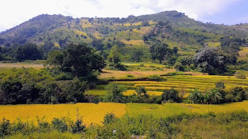 Araku Valley - Photo 6