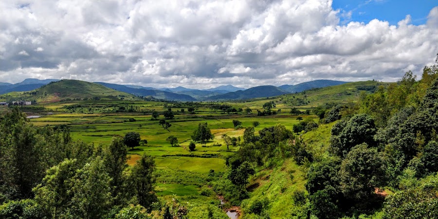 Araku Valley - Photo 4