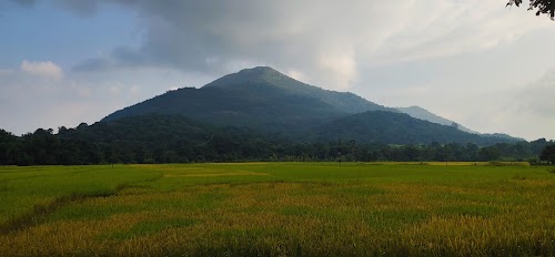 Araku Valley - Photo 2