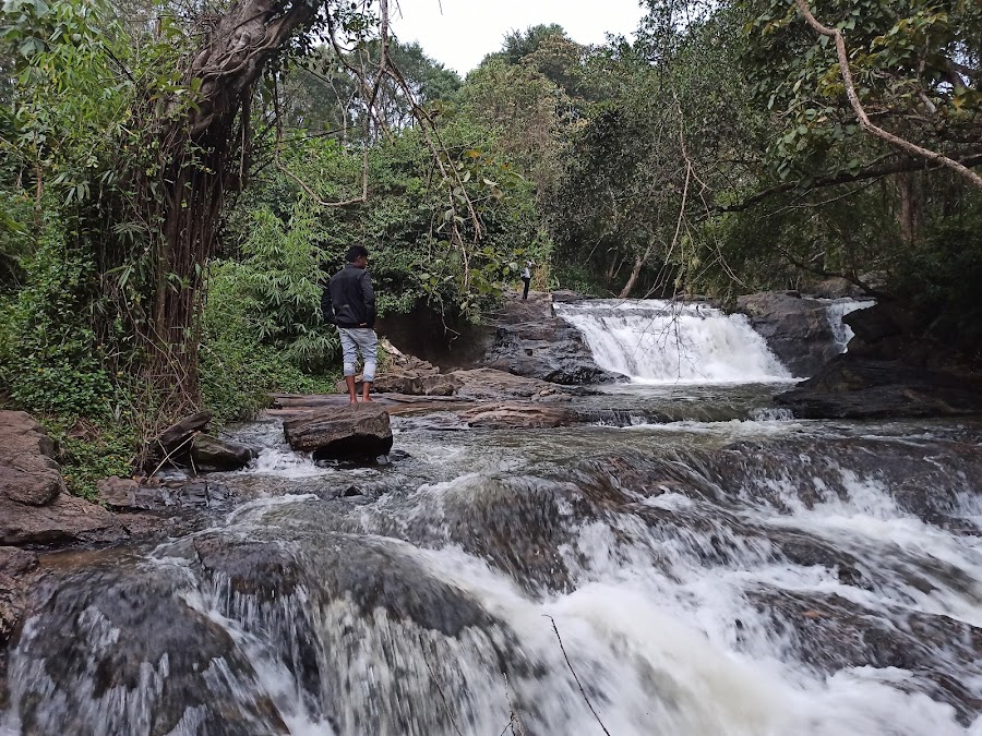 Mookanamane Abbi Falls - Photo 3