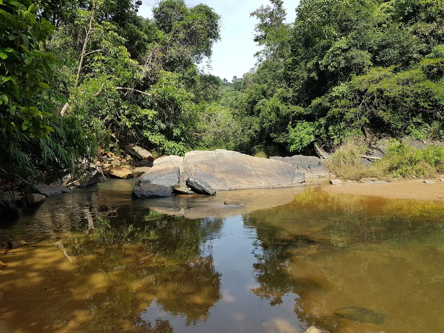 Mookanamane Abbi Falls - Photo 4