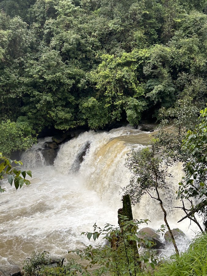 Mookanamane Abbi Falls - Photo 2