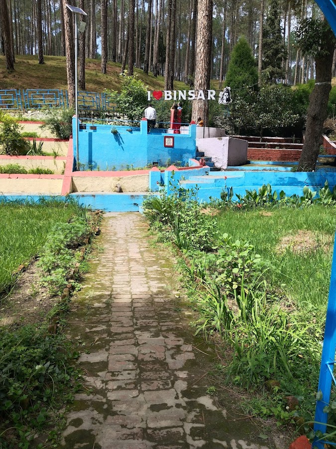Bineshwar Mahadev Temple - Photo 3