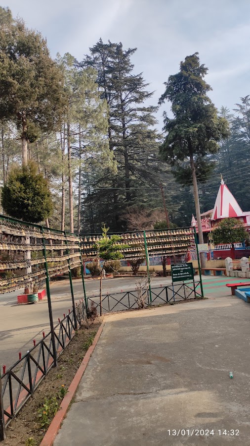 Bineshwar Mahadev Temple - Photo 7