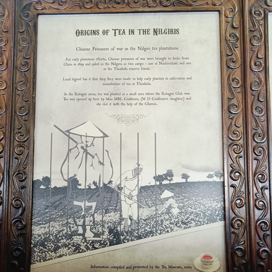 The Tea Factory & The Tea Museum - Photo 3