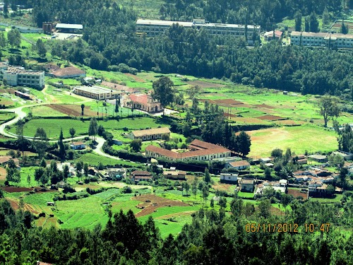 Ooty - Photo 6