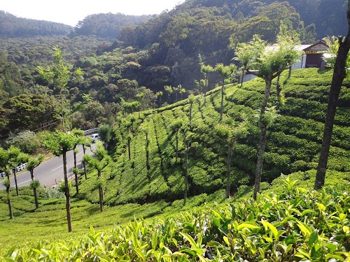 Ooty - Photo 5