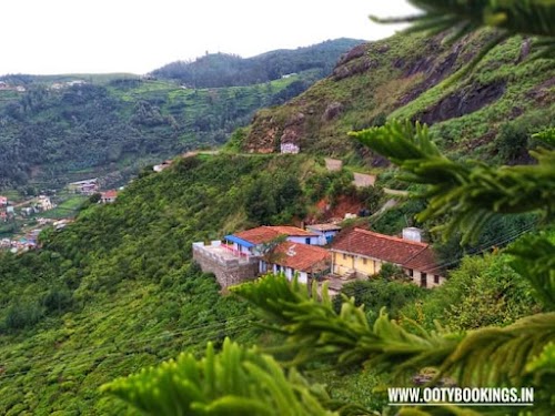 Ooty - Photo 2