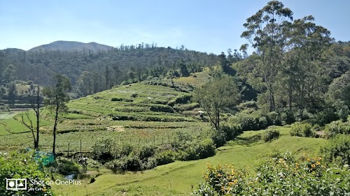 Ooty - Photo 7