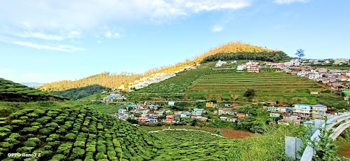 Ooty - Photo 3