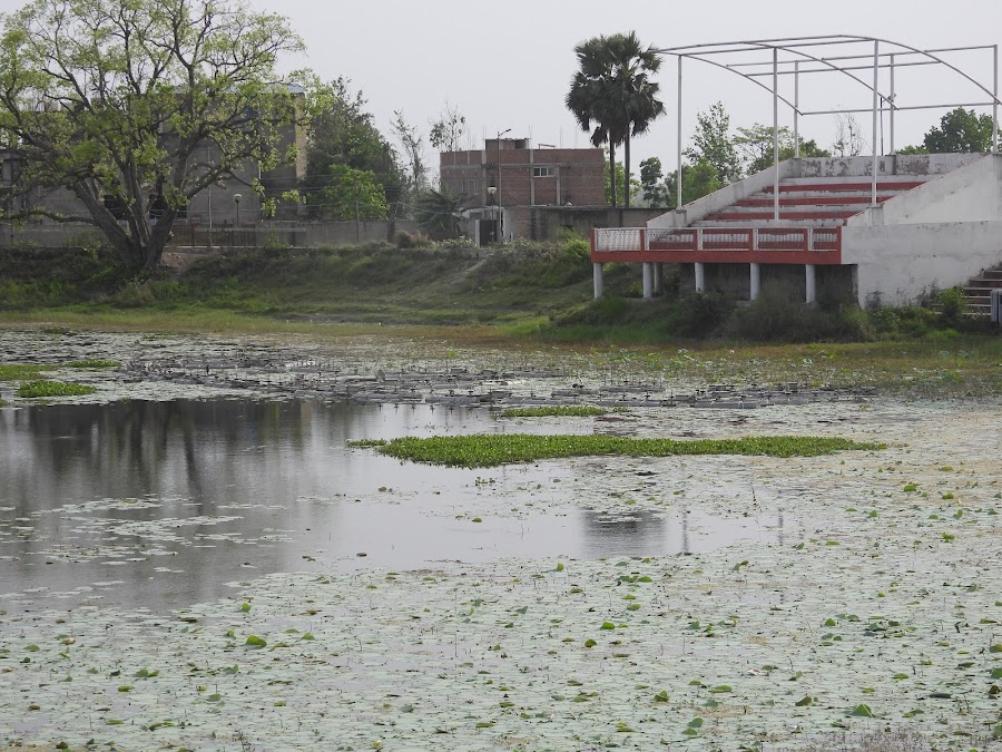 Abhishek Pushkarani - Photo 3