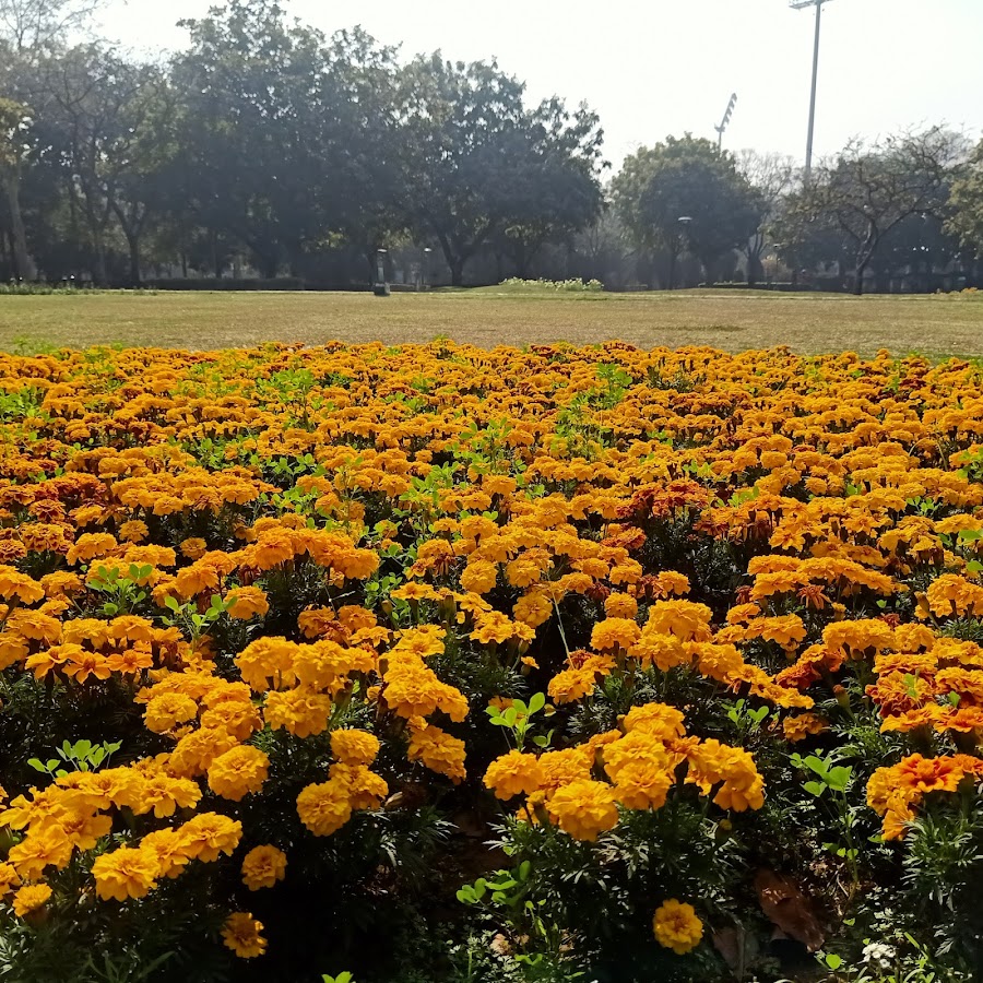 Shanti Kunj