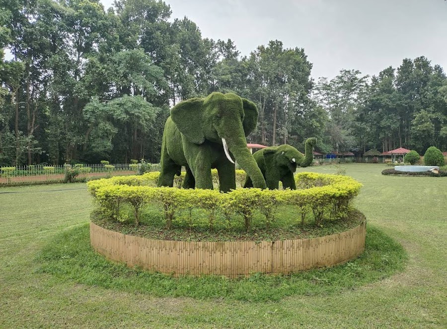 Birsa Zoological Park - Photo 3