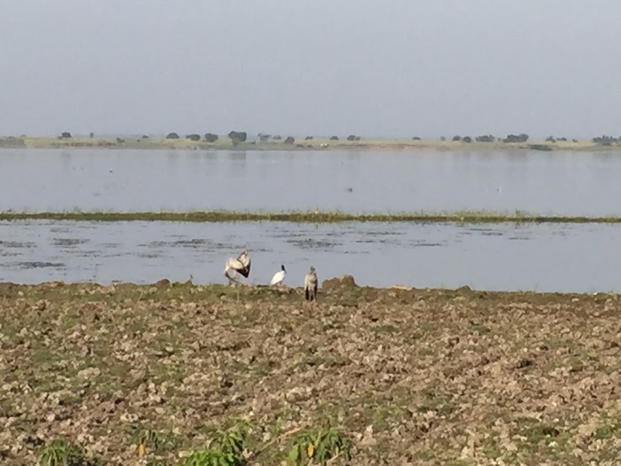 Kalapani Lake - Photo 3