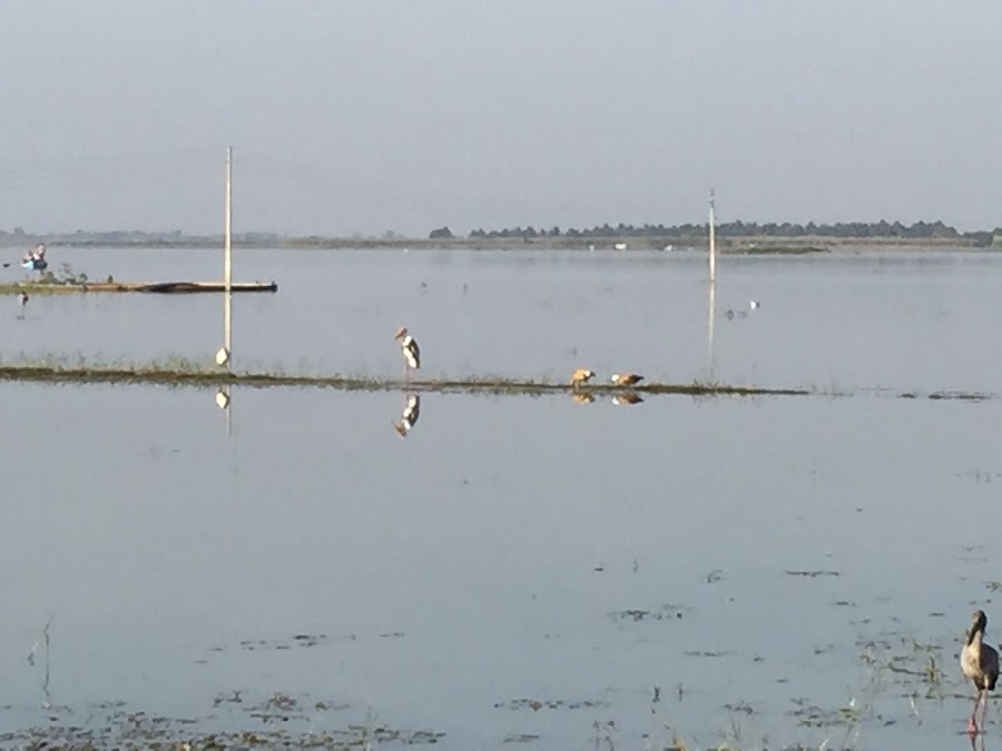 Kalapani Lake - Photo 2
