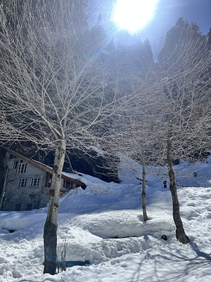 Solang Valley - Photo 8
