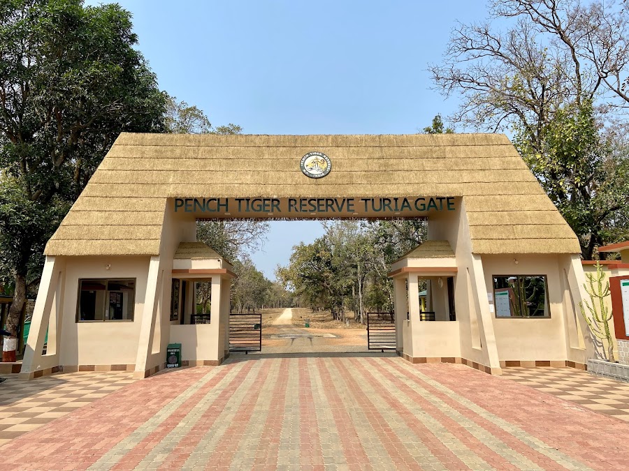 Pench National Park - Photo 4