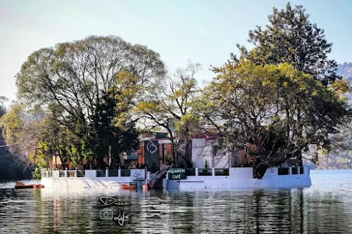 Aquarium Island Cafe - Photo 7