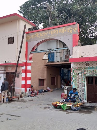 Nageshwarnath Temple - Photo 3